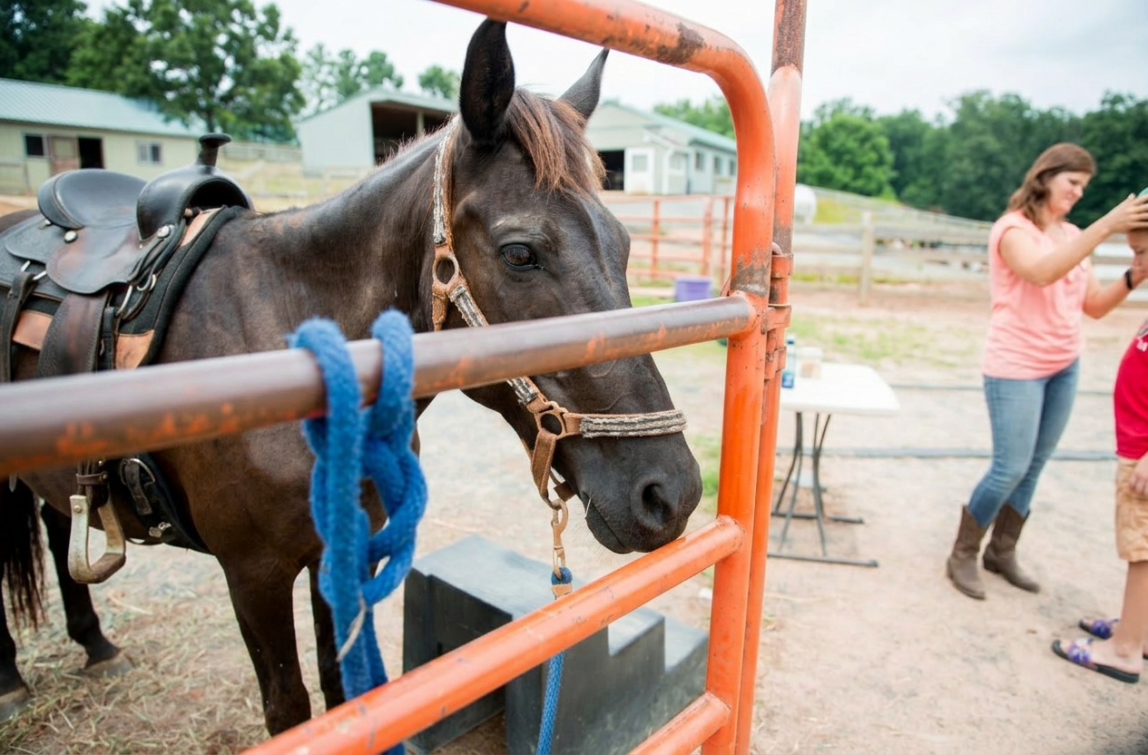 Massanutten Resort resort 13